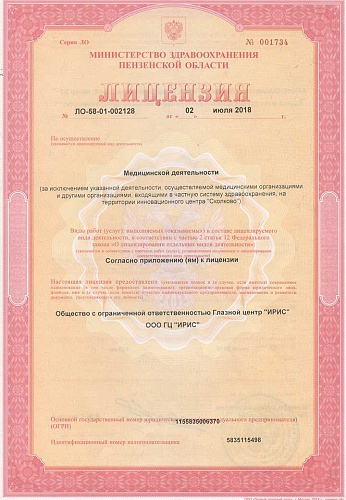 Лицензия 1